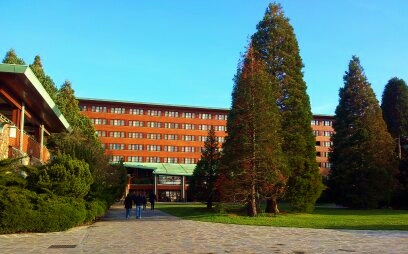 hotel disney sequoia lodge